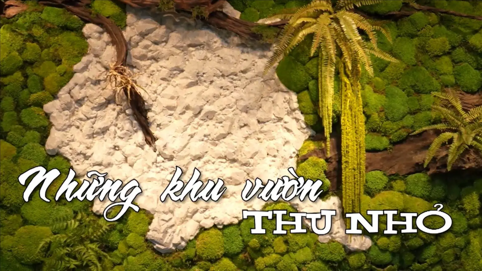 Những khu vườn thu nhỏ | Nhịp sống Hà Nội | 18/11/2025 Những khu vườn thu nhỏ | Nhịp sống Hà Nội | 18/11/2025